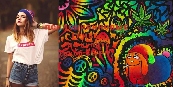 PSILOCYBIN Пересвет