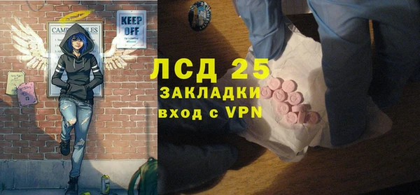 PSILOCYBIN Пересвет